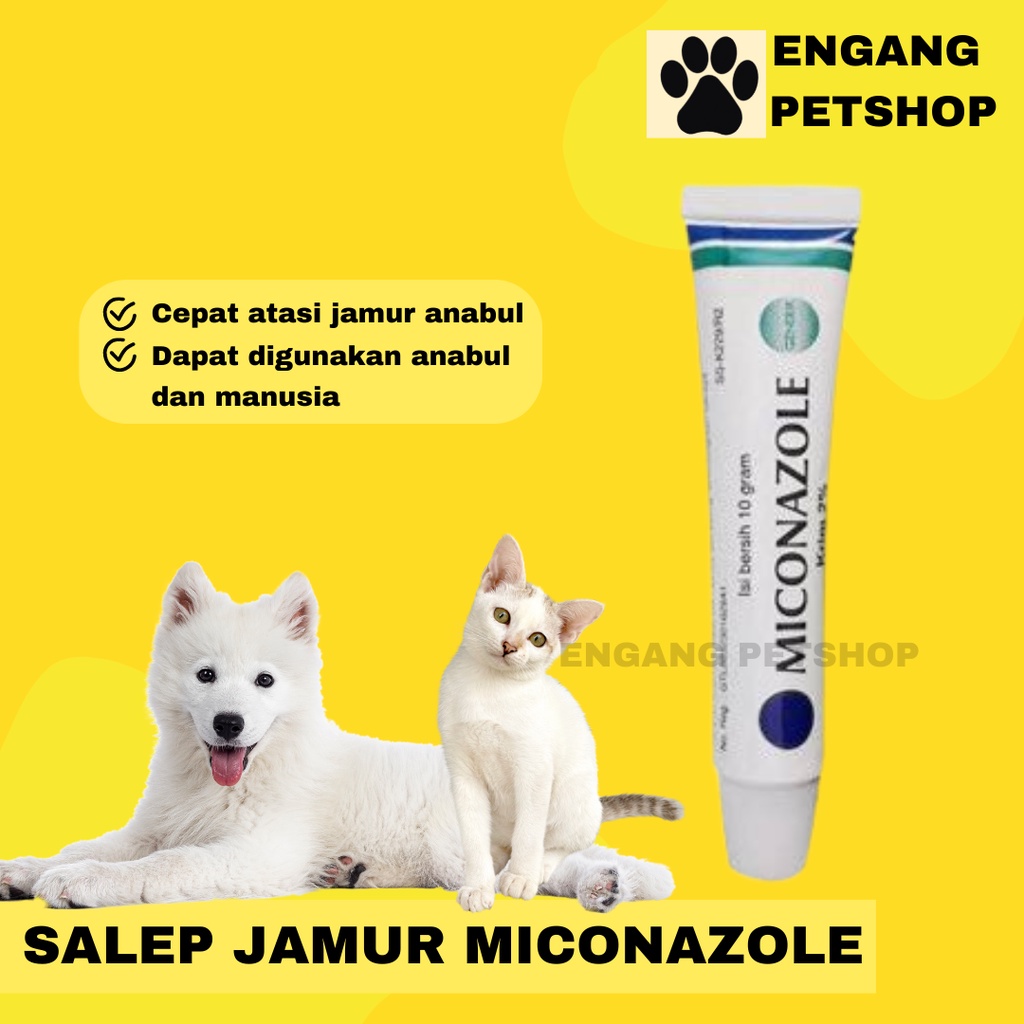 Salep Jamur Kucing Obat Jamur Kucing