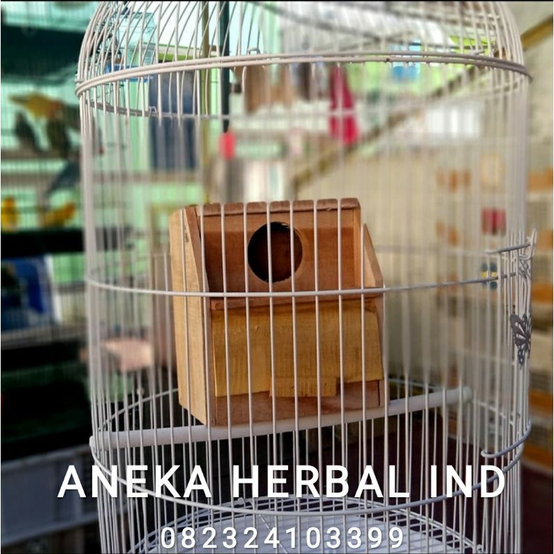 GLODOK BURUNG LOVEBIRD - RUMAH BURUNG KOTAK UNTUK SANGKAR KAPSUL