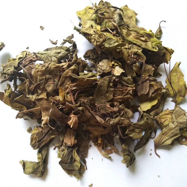 

Daun Kemanden Kering 1kg / Daun Senggani Kering Asli