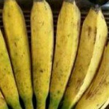 

pisang raja bulu /pisang raja hijau fresh per 1sisir