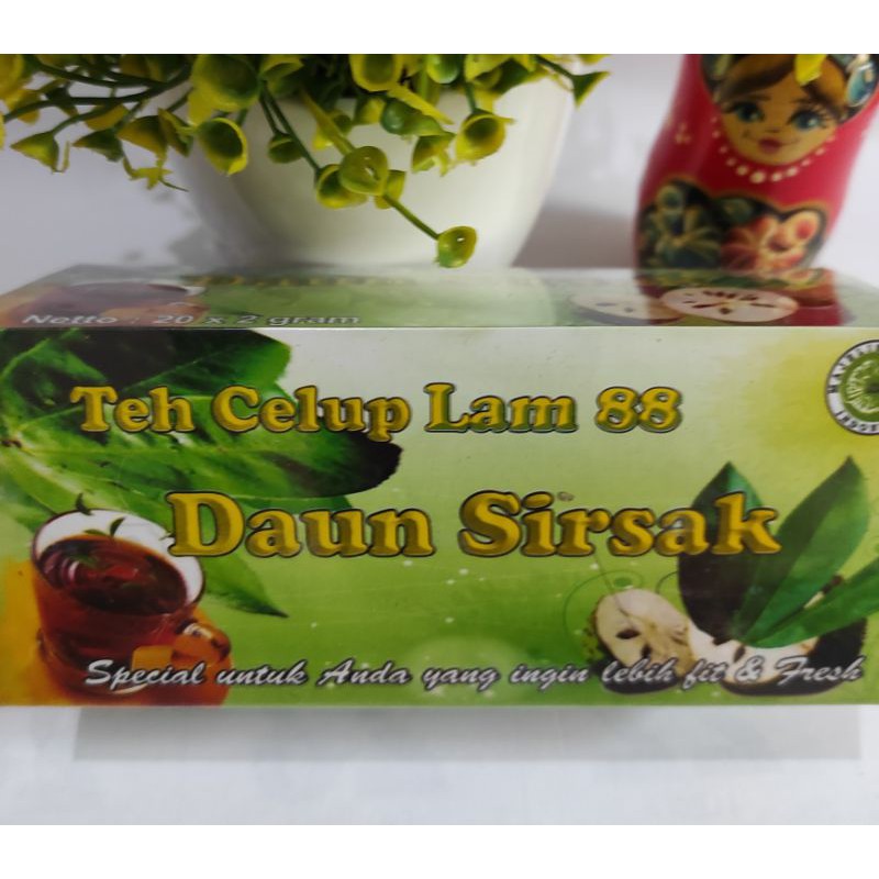 

Teh celup daun Sirsak