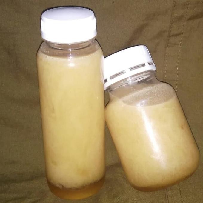 

Madu kopi asli premium isi bersih 300g