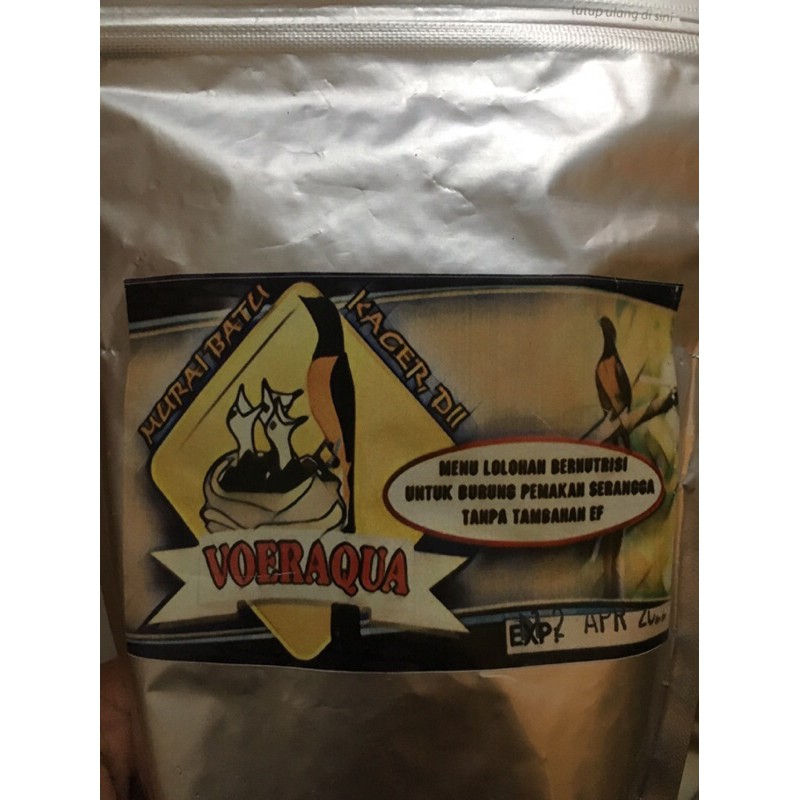 lolohan voeraqua burung murai kacer