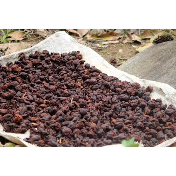 

Asam Kandis Kering 100 GRAM