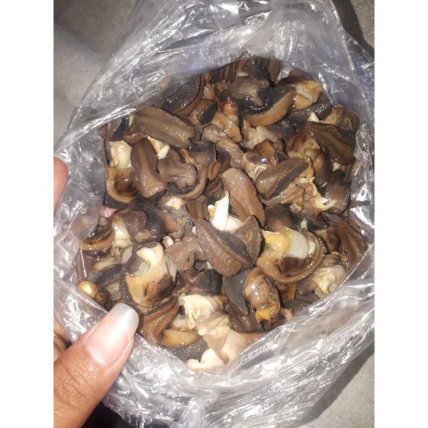 

Daging Bekicot