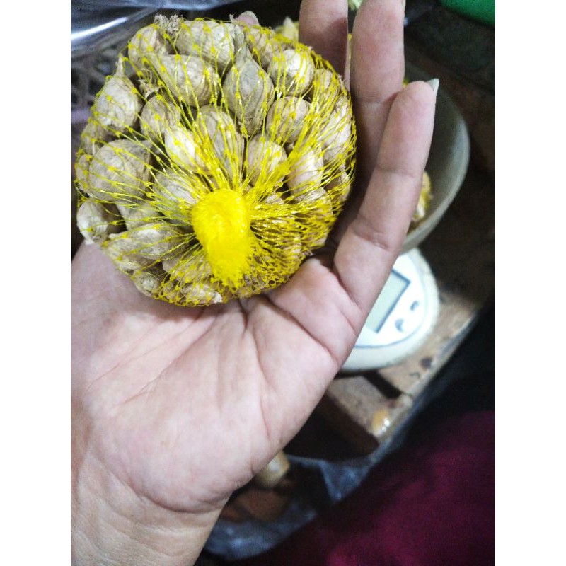 

bawang tungal lokal organik