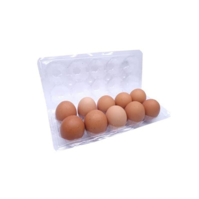 

SEMBAKO - Telur Ayam Negeri 10 butir Go Send Grab Express