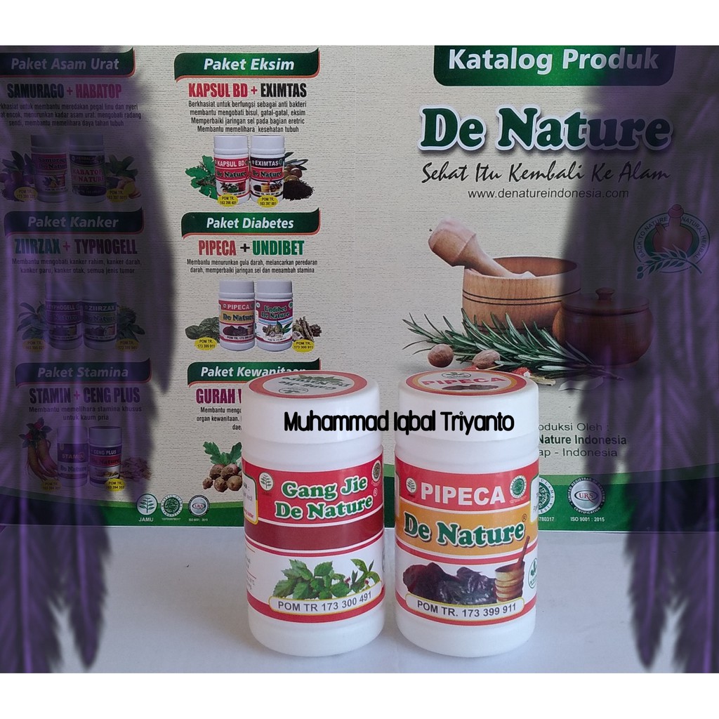 Obat Kencing Nanah, Sipilis, Sifilis, Sepilis, Spilis, Raja Singa/ISK Gangjie