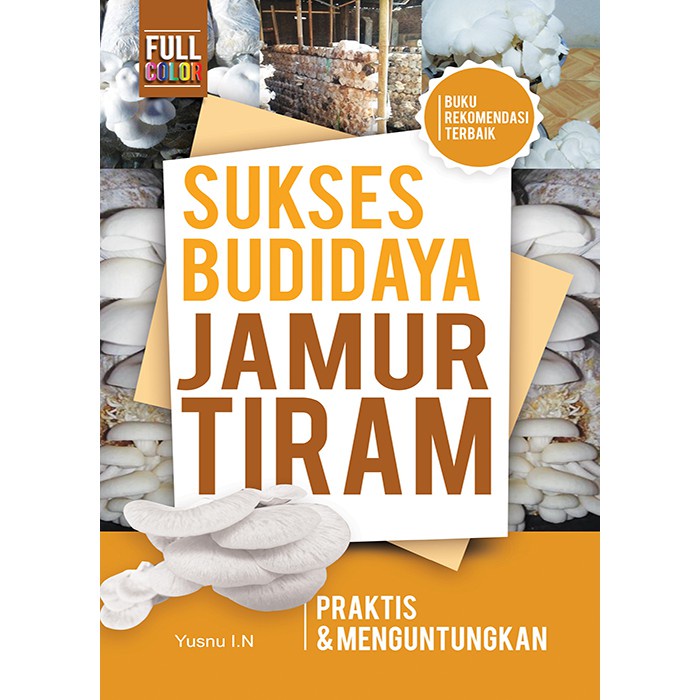 Sukses Budidaya Jamur Tiram