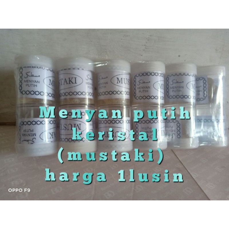 

Kemenyan mustaki putih