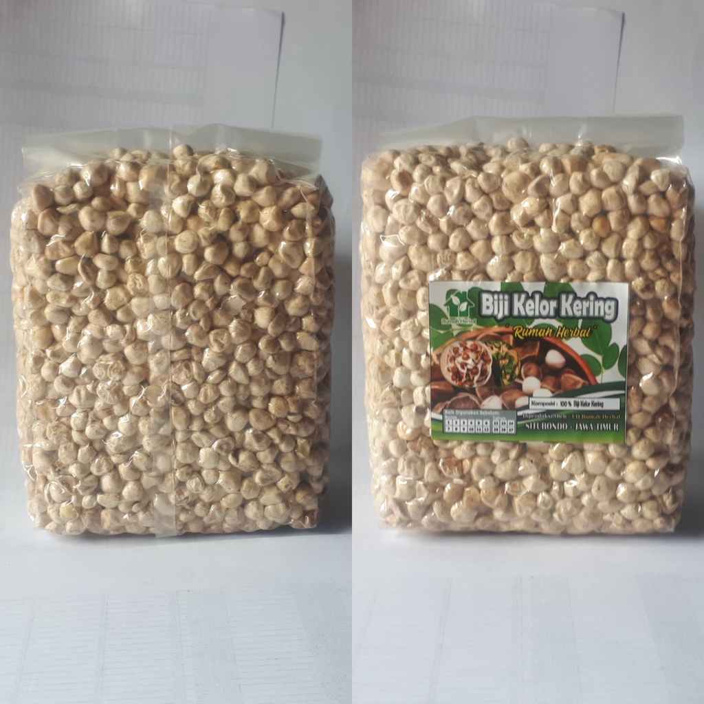

Biji kelor kering 1 kg