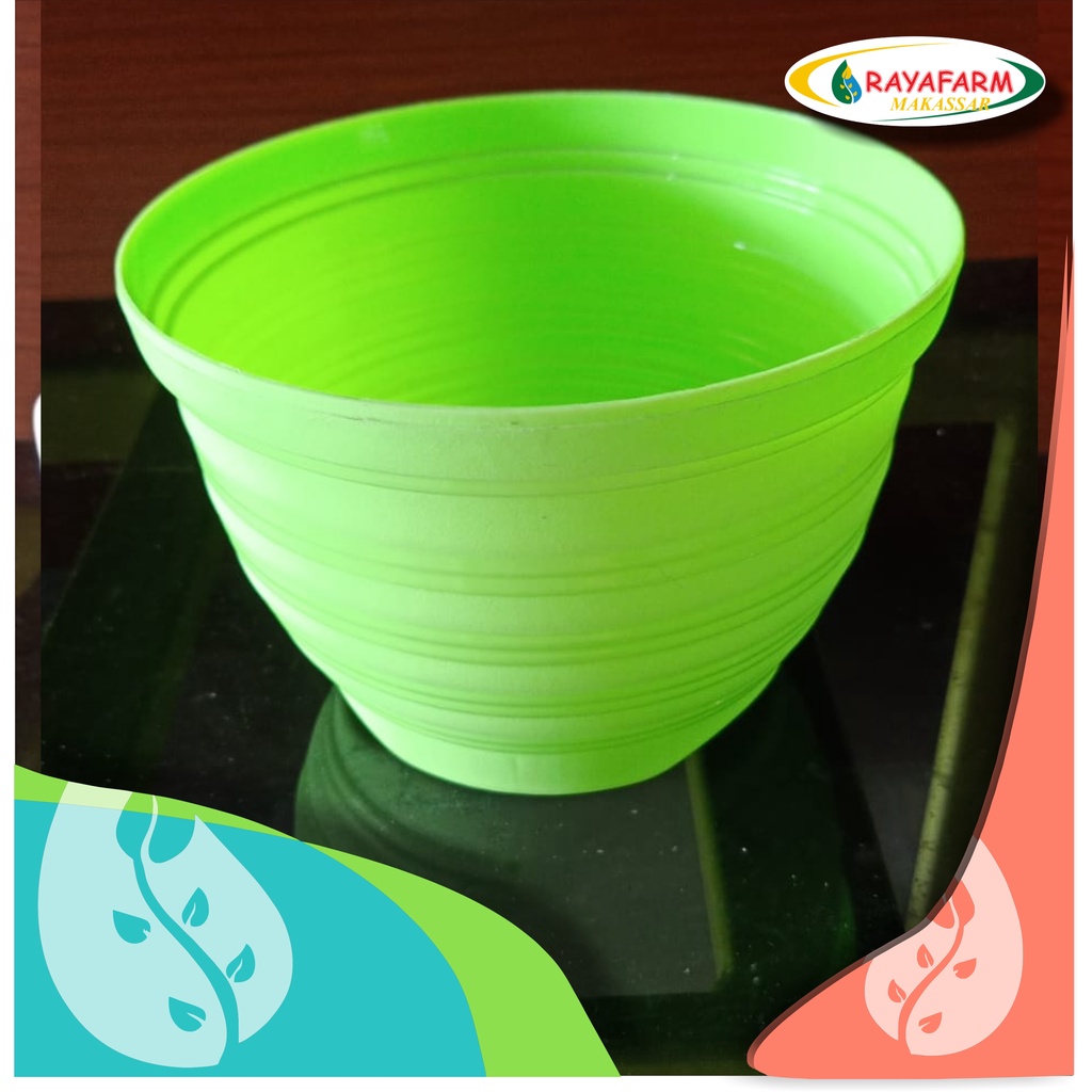 POT GOLDEN HONEY BEE 15