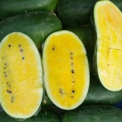 

SEMANGKA INUL SEMANGKA BABY PER BUAH