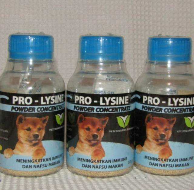 Vitamin Kucing Anjing &quot;PROLYSINE 100gr&quot; Penambah Nafsu Makan Imunitas Tubuh