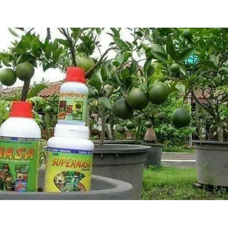 POC PUPUK ORGANIK CAIR