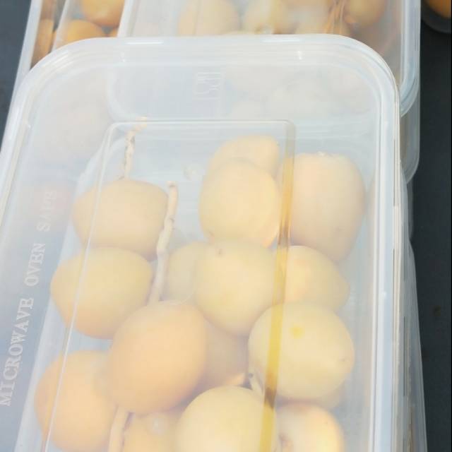

Kurma Muda