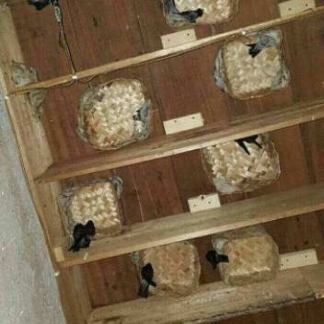 Per 10 PCS Besek Bakul Walet 25x25x10 cm besek kotak