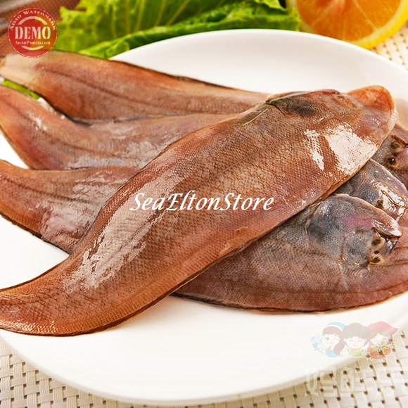 

IKAN LIDAH Ikan Laut Segar Fresh