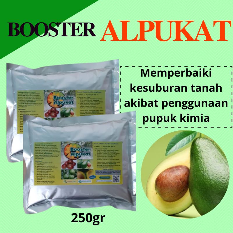 Pupuk Untuk Buah Alpukat, Pupuk Pelebat Buah Alpukat