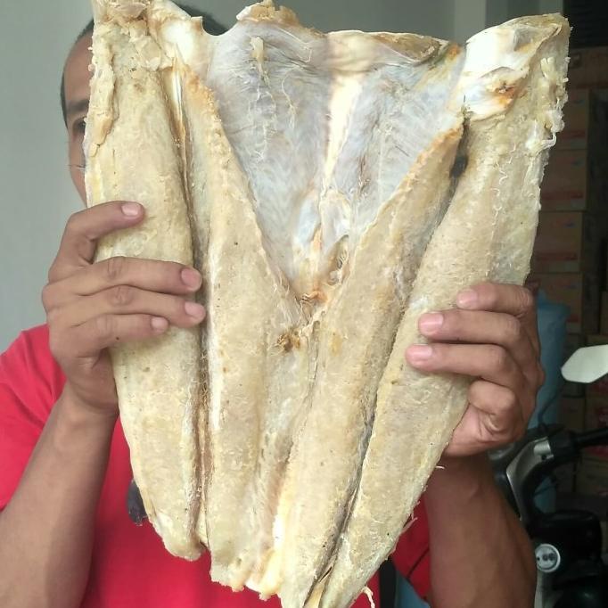 

Diskon Ikan asin Jambal Roti Diskon