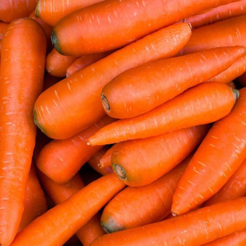 

wortel segar/sayur segar 500 gram