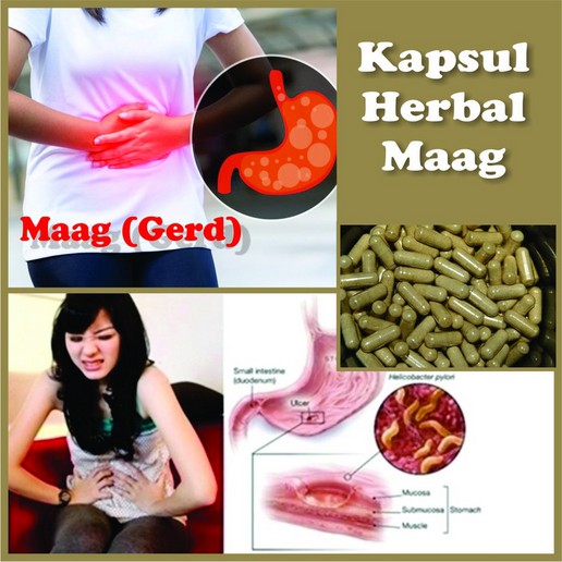 

Eceran Per Kapsul Obat Kapsul Herbal Maag Gerd