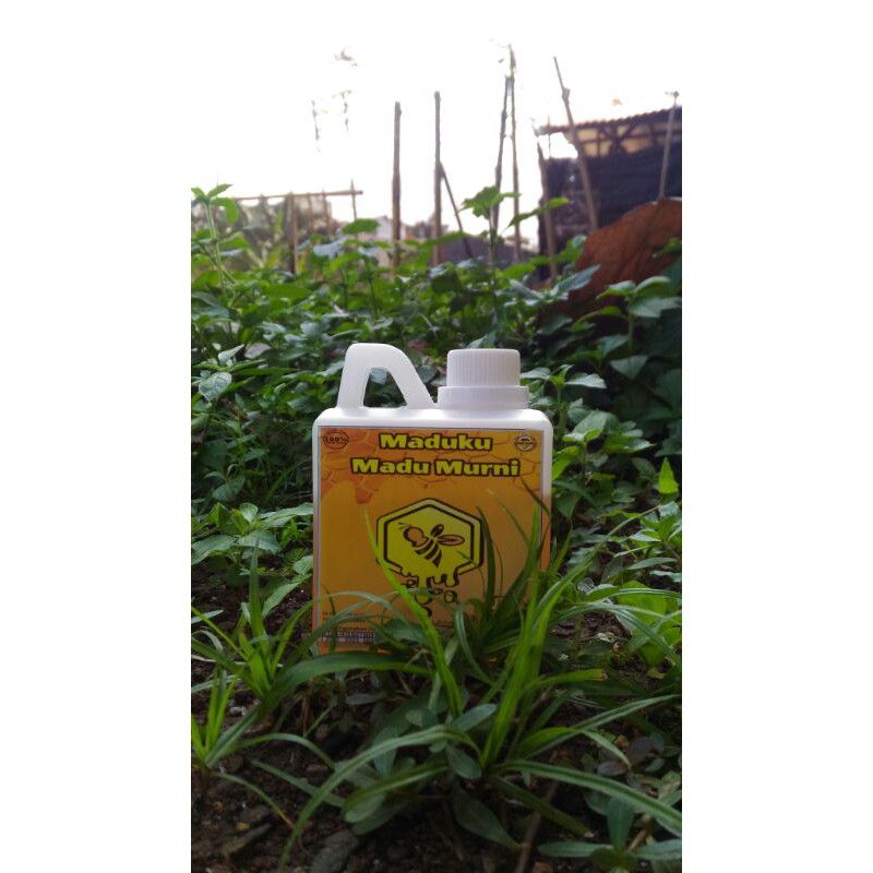 

Maduku Madu Senokeling 500 gram
