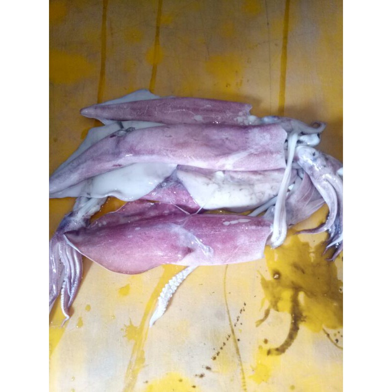 

cumi cumi(500g)