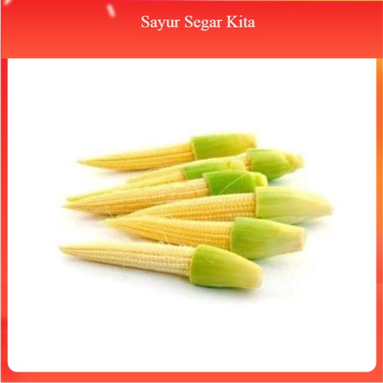 

Jagung Acar/ Putren/ Baby Corn 250 gr
