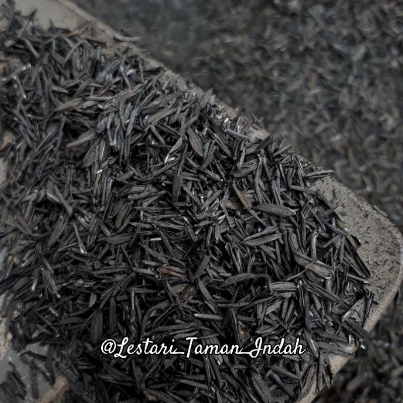 Sekam bakar - media tanam sekam bakar - sekam bakar 500gram
