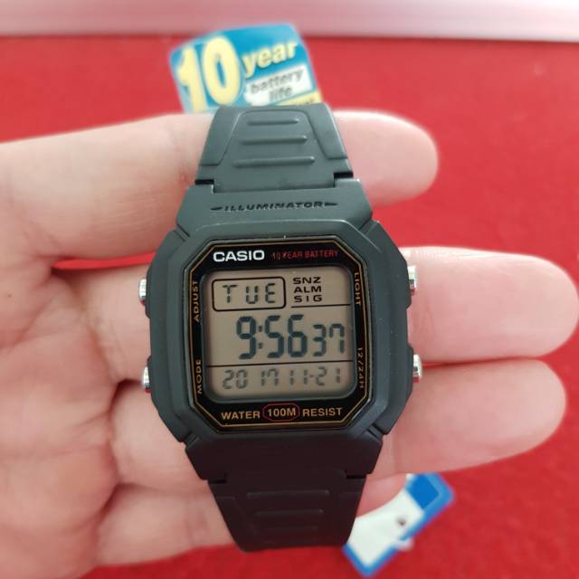 Casio W 800HG