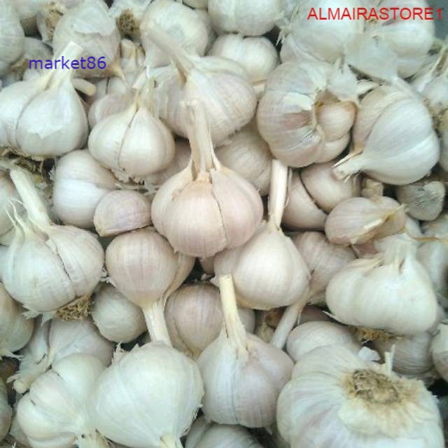 

Grosir Sayur Sayuran Segar FRESH Bawang Putih Kating 250 Gram - Market86