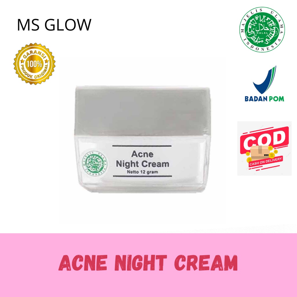 Jual Acne Night Cream Ms Glow krim malam ms glow Shopee Indonesia