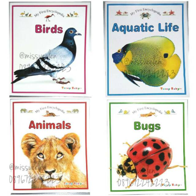 Buku Ensiklopedia My First Encyclopedia Series