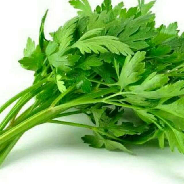 Daun Sop Seledri 100 Gr Gerobak Sayur Palembang Shopee Indonesia