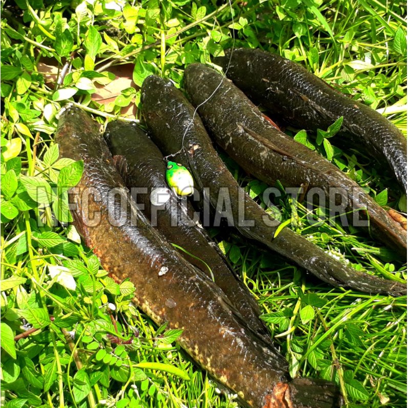 Soft frog Si Kepik 3cm / 4,5 gram rekomendasi untuk ultralight casting Umpan Gabus dan Toman