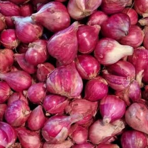 

Bawang merah / red onion / bawang merah lokal / bawang merah super