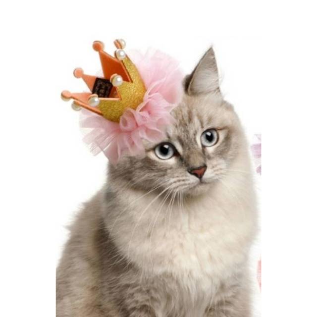 Klip Jepit Rambut Crown Mahkota U Anjing Kucing Lucu Murah