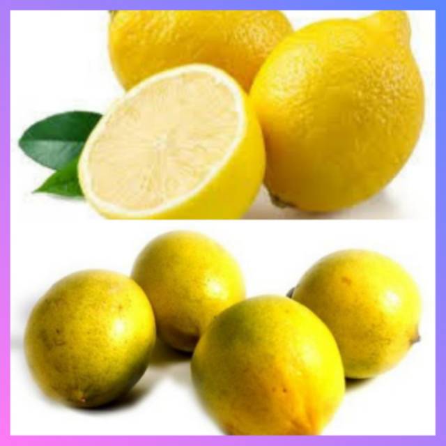 

Lemon Lokal, Lemon Impor 500 gram
