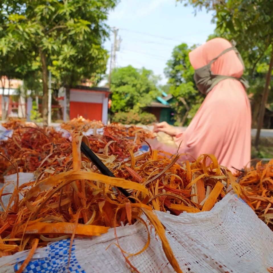 

Secang Serut 250 gram Premium Dari Bumi | Secang Serut Premium Original
