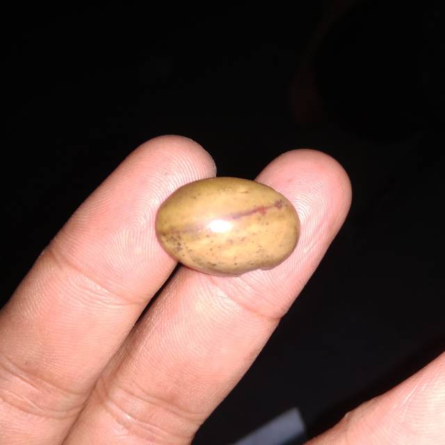 Batu mustika katilayu