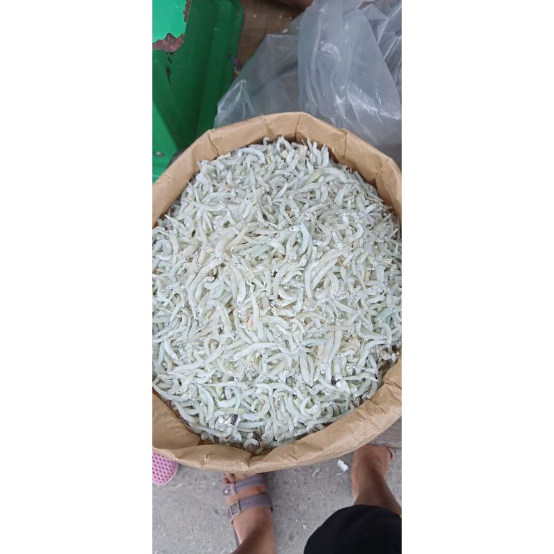 

Ikan Teri Nasi