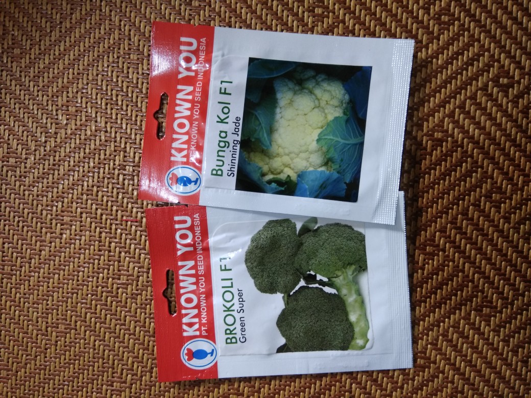 Benih Bibit Brokoli Broccoli Green Super, Known You Seed, Original Packing