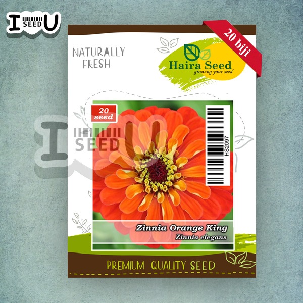 Haira Seed Bibit-BIji Bunga Zinnia Orange King