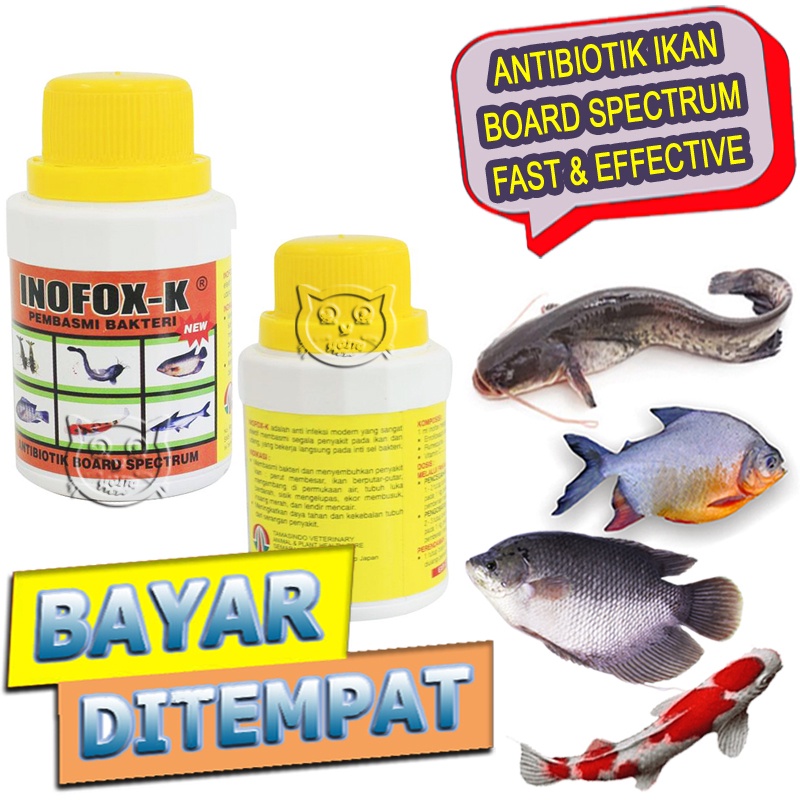 Antibiotik Inofox K Obat Luka Anti Bakteri Ikan Sakit