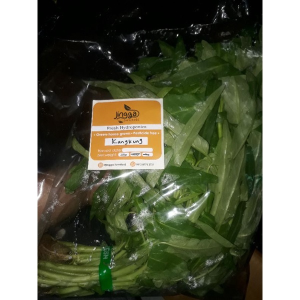 

kangkung organik