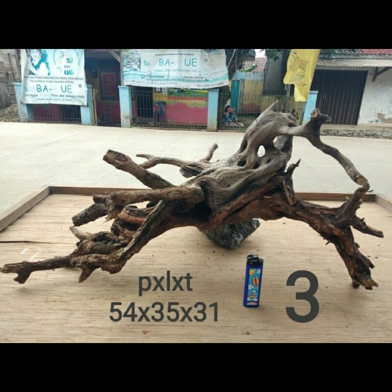 Santigi Karang/Santigi Laut Aquascape 3