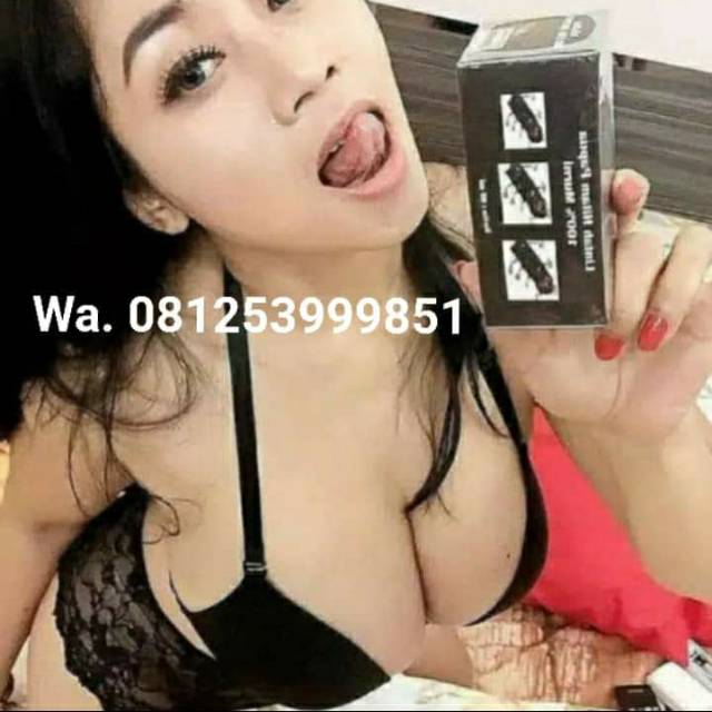 

Minyak lintah papua asli