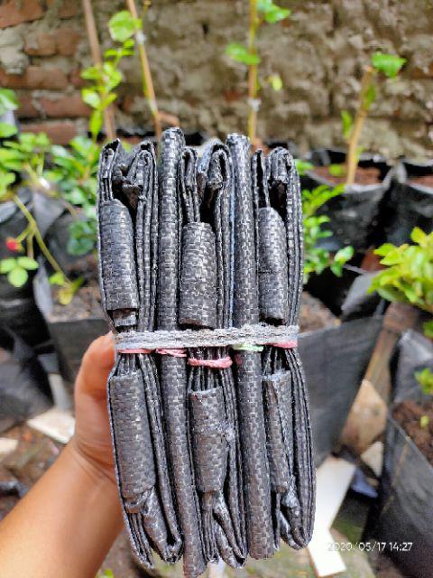 Planterbag 25 Cm