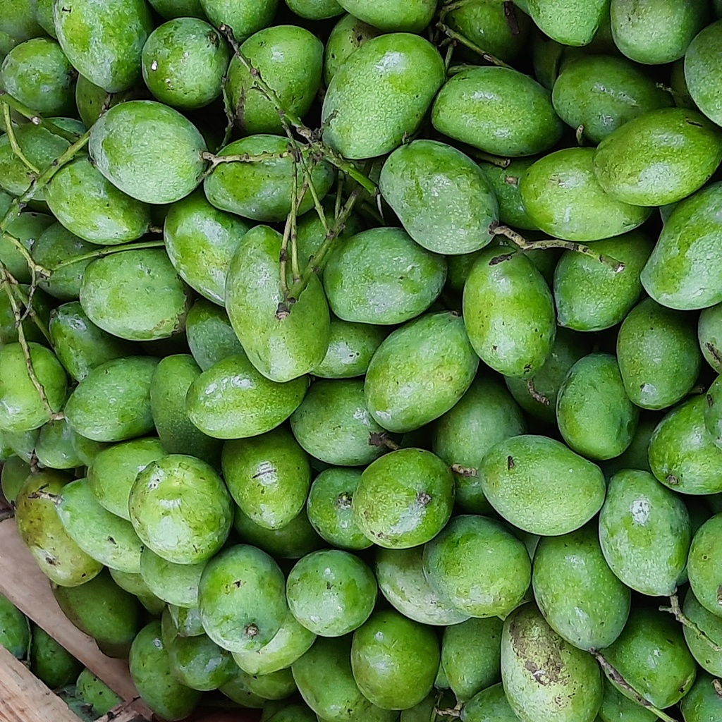 

Buah Mangga Muda